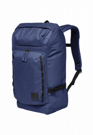 Sacs À Dos Jack Wolfskin Dachsberg Femme Bleu | 83490125