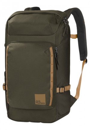 Sacs À Dos Jack Wolfskin Dachsberg Femme Vert | 74885431
