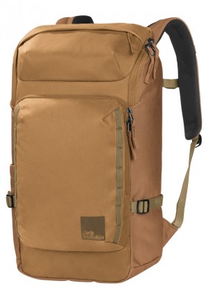Sacs À Dos Jack Wolfskin Dachsberg Homme Marron | 54815161
