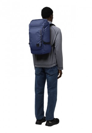 Sacs À Dos Jack Wolfskin Dachsberg Homme Bleu Marine | 10969745