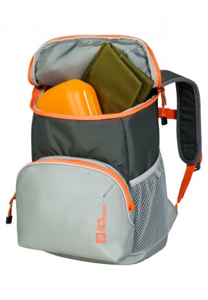 Sacs À Dos Jack Wolfskin Erlebnis Femme Grise | 79154981