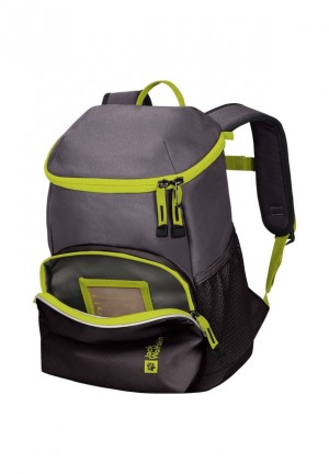 Sacs À Dos Jack Wolfskin Erlebnis Femme Grise | 63355595