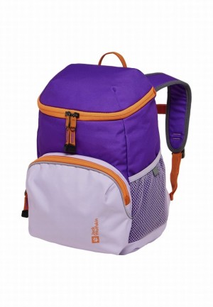 Sacs À Dos Jack Wolfskin Erlebnis Femme Violette | 41667912