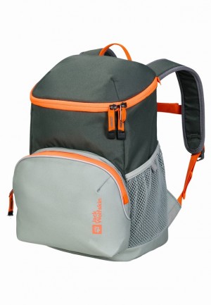 Sacs À Dos Jack Wolfskin Erlebnis Homme Grise | 76925898
