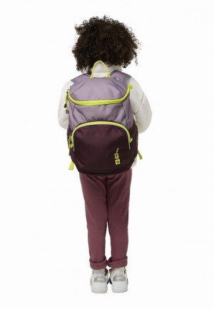 Sacs À Dos Jack Wolfskin Erlebnis Homme Lavande | 83412944