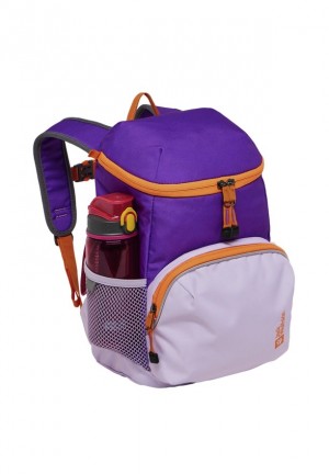Sacs À Dos Jack Wolfskin Erlebnis Homme Rose | 95447604