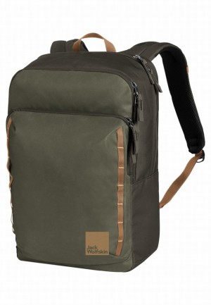 Sacs À Dos Jack Wolfskin Hasensprung Femme Vert | 87844751