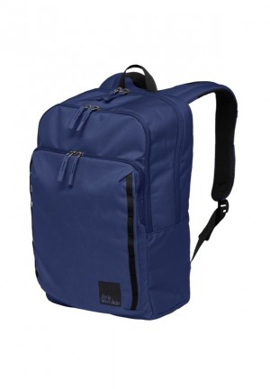Sacs À Dos Jack Wolfskin Hasensprung Homme Bleu Marine | 12318994
