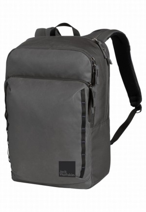Sacs À Dos Jack Wolfskin Hasensprung Homme Grise | 59330824