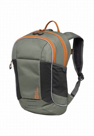 Sacs À Dos Jack Wolfskin Moab Jam Femme Grise | 84890376
