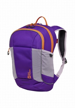 Sacs À Dos Jack Wolfskin Moab Jam Femme Violette | 83015433