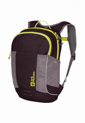 Sacs À Dos Jack Wolfskin Moab Jam Homme Violette | 44532199
