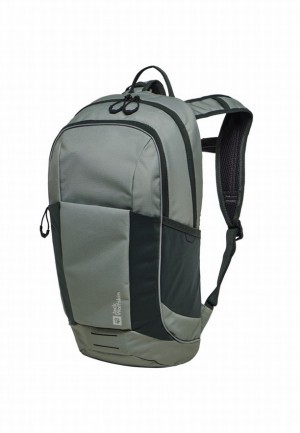 Sacs À Dos Jack Wolfskin Moab Trail Femme Grise | 17413047