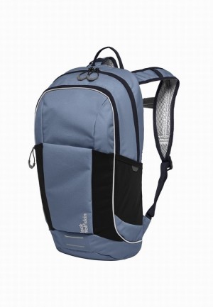 Sacs À Dos Jack Wolfskin Moab Trail Femme Bleu | 65267894