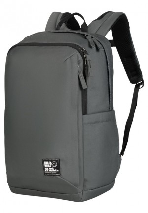 Sacs À Dos Jack Wolfskin Smileyworld Homme Grise | 31205509
