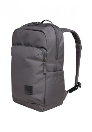 Sacs À Dos Jack Wolfskin Taubenberg Homme Grise | 52588461