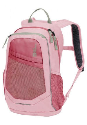 Sacs À Dos Jack Wolfskin Track Jack Homme Rose | 29841691