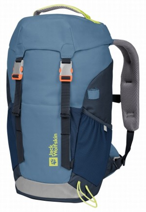 Sacs À Dos Jack Wolfskin Waldspieler 20 Femme Bleu | 46713911