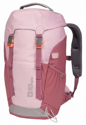 Sacs À Dos Jack Wolfskin Waldspieler 20 Femme Rose | 16709573