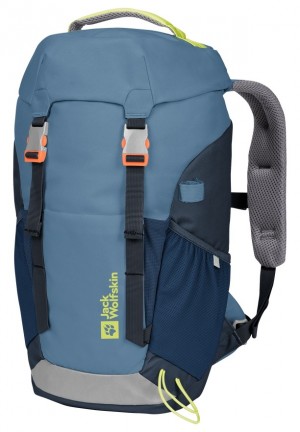 Sacs À Dos Jack Wolfskin Waldspieler 20 Homme Bleu | 74099303