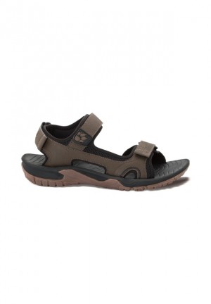 Sandale Jack Wolfskin Lakewood Cruise Homme Marron | 71337572