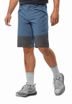 Short Jack Wolfskin Hiking Alpine Homme Bleu | 80930032