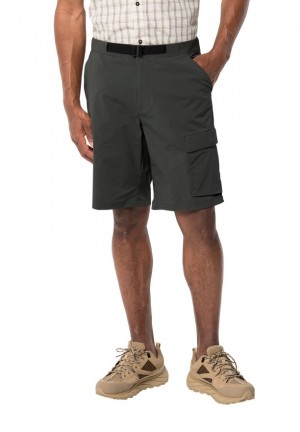 Short Jack Wolfskin Wanderthirst Homme Noir | 81456940