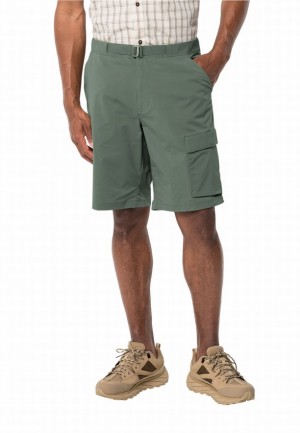 Short Jack Wolfskin Wanderthirst Homme Vert | 61312733
