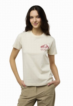 T Shirts Jack Wolfskin Bergblick Femme Grise | 18468962