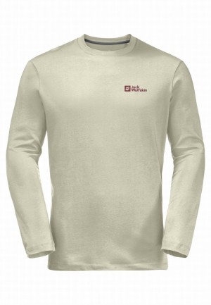 T Shirts Jack Wolfskin Essential Longsleeve Homme Grise | 53818046