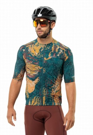T Shirts Jack Wolfskin Gravex Printed Fz S/s Homme Turquoise | 63063104
