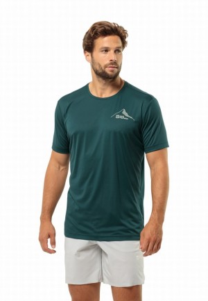 T Shirts Jack Wolfskin Peak Graphic Homme Turquoise | 93249798