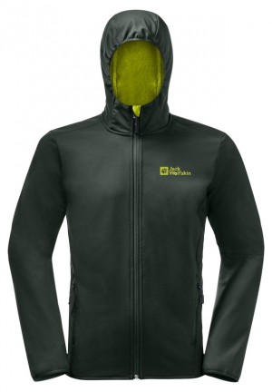 Veste Softshell Jack Wolfskin Bornberg Hoody Homme Vert | 12693723