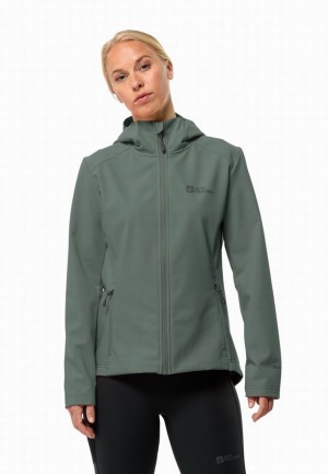 Veste Softshell Jack Wolfskin Bornberg Hoody Femme Vert | 17046882