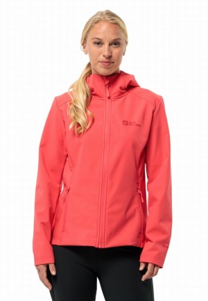 Veste Softshell Jack Wolfskin Bornberg Hoody Femme Rouge | 29530985