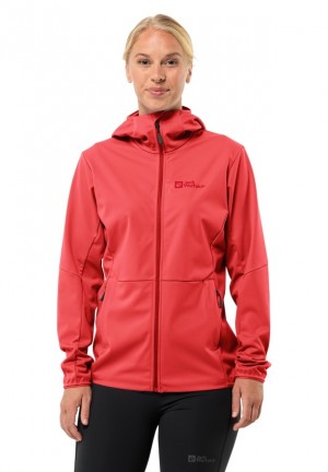 Veste Softshell Jack Wolfskin Feldberg Hoody Femme Rouge | 53776977