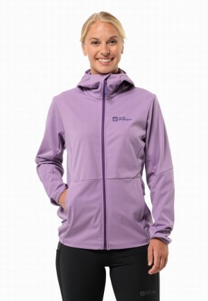 Veste Softshell Jack Wolfskin Feldberg Hoody Femme Violette | 94831052