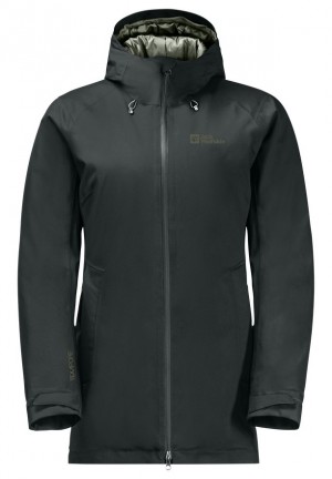 Vestes D'hiver Jack Wolfskin Stirnberg Ins Femme Noir | 96847850