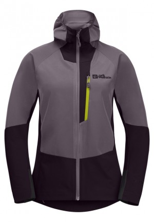 Vestes Jack Wolfskin Alpspitze Hoody Femme Violette | 48273249
