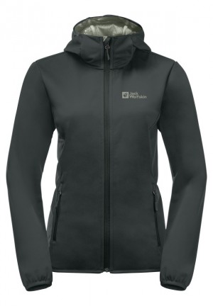 Vestes Jack Wolfskin Bornberg Hoody Femme Grise | 51750572