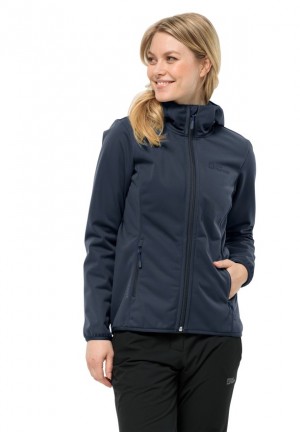 Vestes Jack Wolfskin Bornberg Hoody Femme Bleu Marine | 16216485