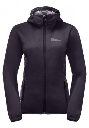 Vestes Jack Wolfskin Bornberg Hoody Femme Violette | 57048423