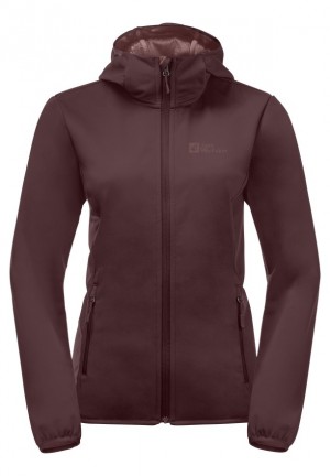 Vestes Jack Wolfskin Bornberg Hoody Femme Rouge | 99018423