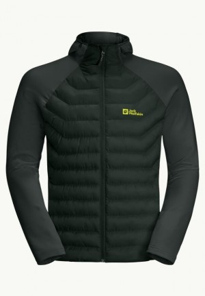 Vestes Jack Wolfskin Routeburn Pro Hybrid Homme Vert | 15127916