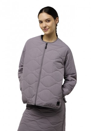 Vestes Jack Wolfskin Wandersome Ins Femme Grise | 39136094