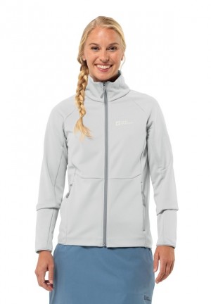 Vestes Polaires Jack Wolfskin Alpgrat Fz Femme Grise | 43664988