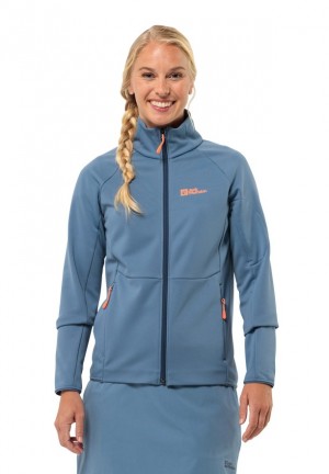 Vestes Polaires Jack Wolfskin Alpgrat Fz Femme Bleu | 41475176