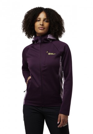 Vestes Polaires Jack Wolfskin Alpgrat Xt Femme Violette | 28212370