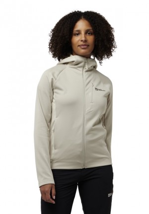 Vestes Polaires Jack Wolfskin Alpgrat Xt Femme Grise | 78953591