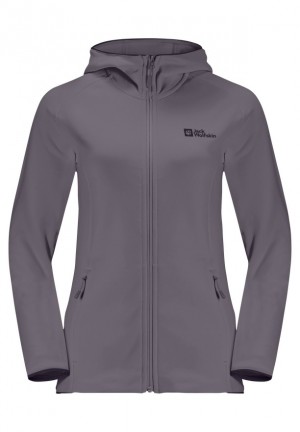 Vestes Polaires Jack Wolfskin Baiselberg Hooded Fz Femme Grise | 62602912